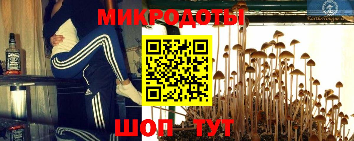 Псилоцибиновые грибы мицелий  Вход с VPN  Воронеж 